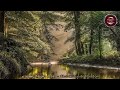 ചാലക്കുടിയുടെ നാദം 🌧️ | Chalakudy Ambient Malayalam Song | Immersive Soft Beats Audio Experience