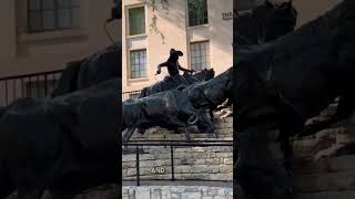 Discover the Magic of San Antonio River Walk