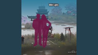 Wild Lights