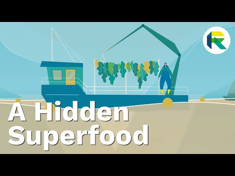 A hidden superfood