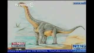 Colombia Hallan Nueva Especie De Dinosaurio