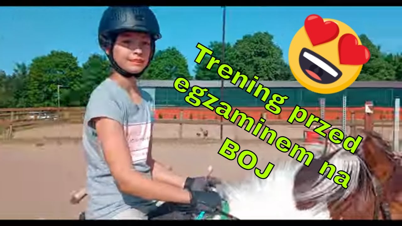 Tosia i Pralinka - przygotowanie do egzaminu na brązową odznakę