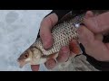 С безнасадкой за плотвой. Зимняя рыбалка на Чебоксарском водохранилище.