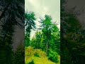 لائیلہ باغ پاراچنار، کرم KPK پاکستان کی ایک جنت نظیر وادی 🌿⛰️