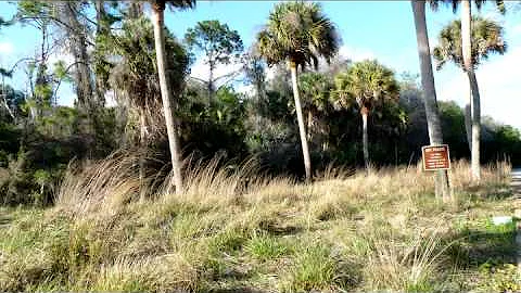 Oral History Video: Dr. Mary Jelks on Myakka River...