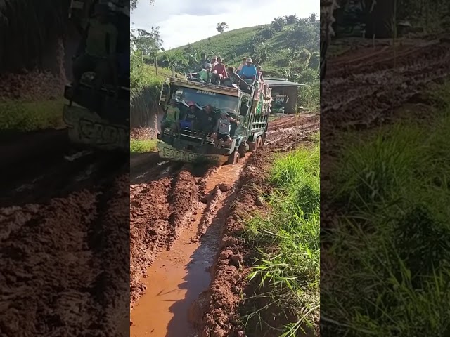 This truck likes to go through the mud  #shorts #shortvideo class=