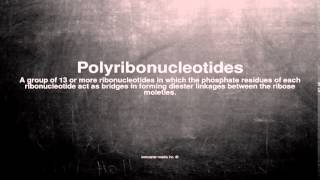 Medical vocabulary: What does Polyribonucleotides mean