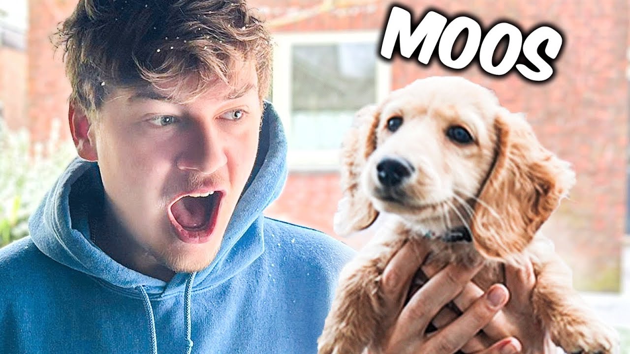 Giel Ziet Moos Voor De Eerste Keer!