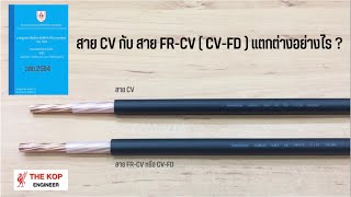 สาย CV กับสาย FR-CV (CV-FD) แตกต่างกันอย่างไร ?