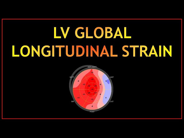 Global Longitudinal Strain (GLS - PART 1) 