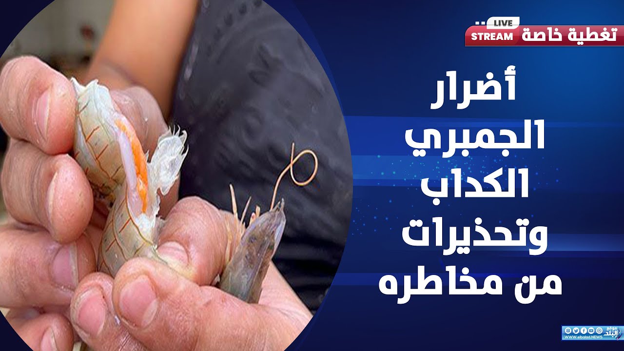 منتشر في الأسواق .. الجمبري الكداب يثير ضجة بسبب سعره | تعرف على أضراره