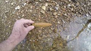 CreekRat: Episode 61 (Agate Basin)