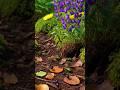 Amazon Forest Shocking Fact | 20% of Earth's Oxygen #amazingfacts #amazoneforest #urduhistory