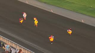 July 25, 2026 - Chicken Run Heat 4 - Old Roosters