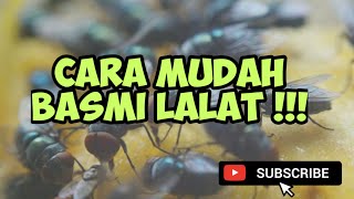 CARA MUDAH MEMBASMI LALAT DI KANDANG PALING EFEKTIF