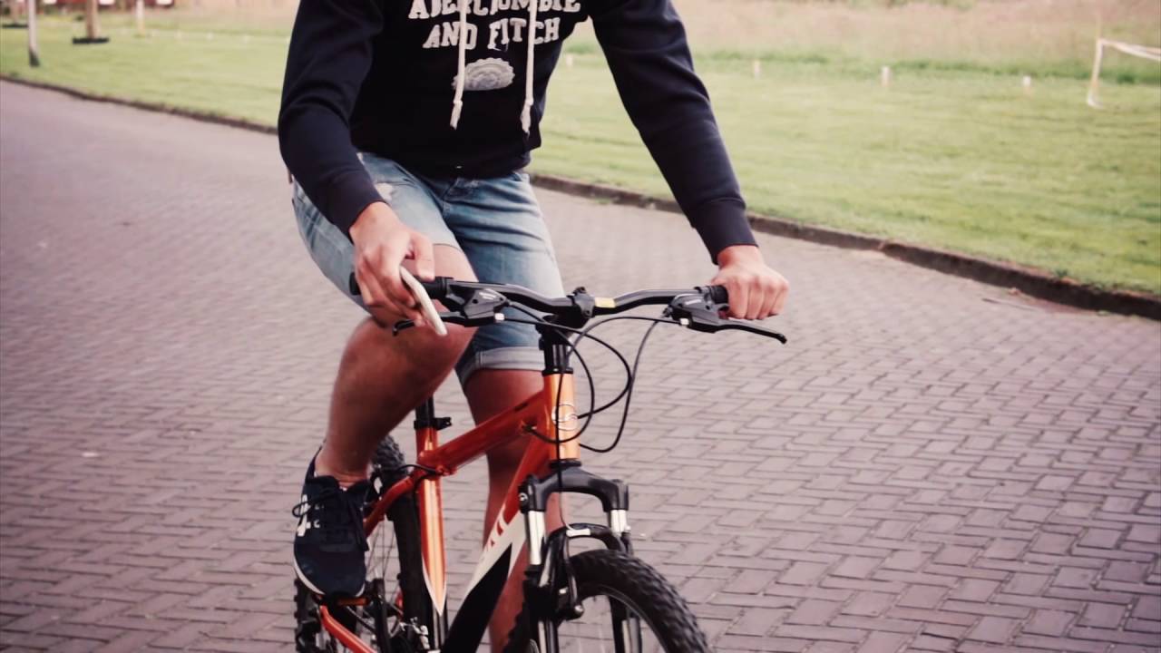 Gear4 D3O Smartphone Cases- Best Impact Protection