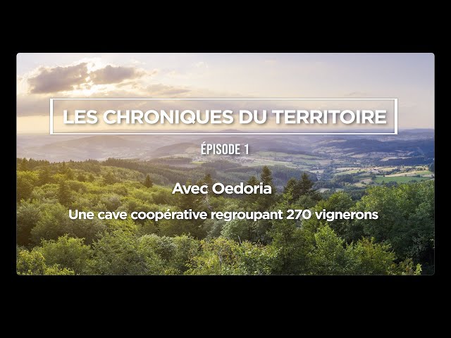 Épisode 1 - Les Chroniques du Territoire : Oedoria