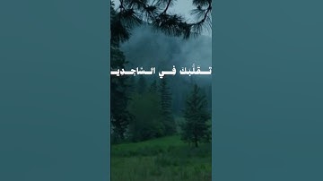 ﴿ وَتَوَكَّلْ عَلَى الْعَزِيزِ الرَّحِيمِ﴾#سورة_الشعراء #بدر_التركي #قران_كريم #قران