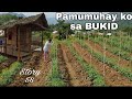 A simple lifestyle here in the philippines  buhay bukid