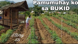 A Simple Lifestyle Here in the Philippines | Buhay Bukid