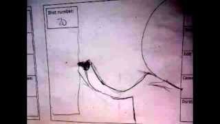 Animatic song