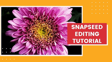 SNAPSEED EDITING TUTORIAL | PHOTO EXPRESS EDITING TUTORIAL | PHOTO EDITING TUTORIAL | COLOR EFFECT