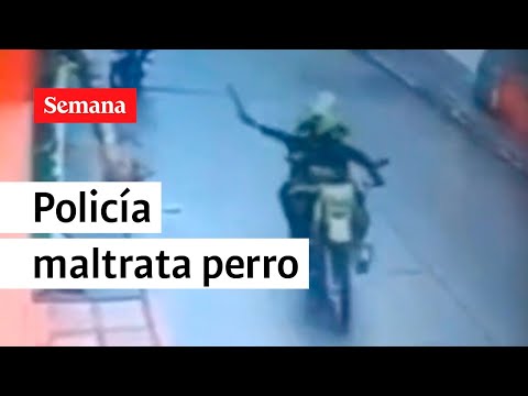 Policía en pleno servicio le pega con el bolillo a un perro | Videos Semana
