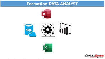 Formation Data Analyst