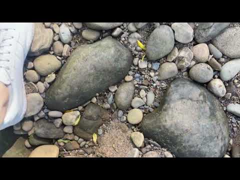 ASMR Nature Sounds & Book Sounds - No Talking