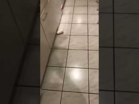How to do