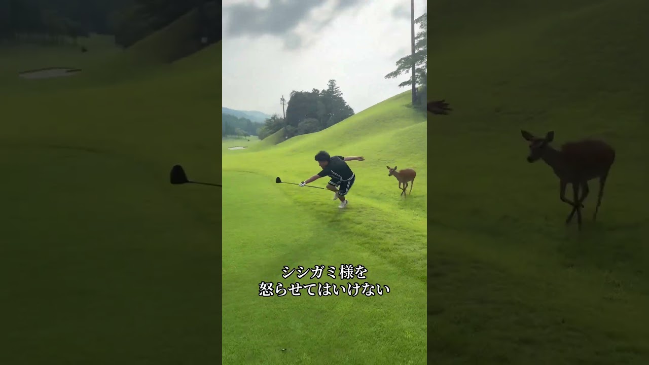 シシガミ様を怒らせてはいけない　