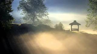 Morning Shine - Video By Truus - Music By Judyesther
