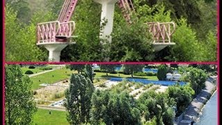 Der Schwanenteich In Mühlhausen