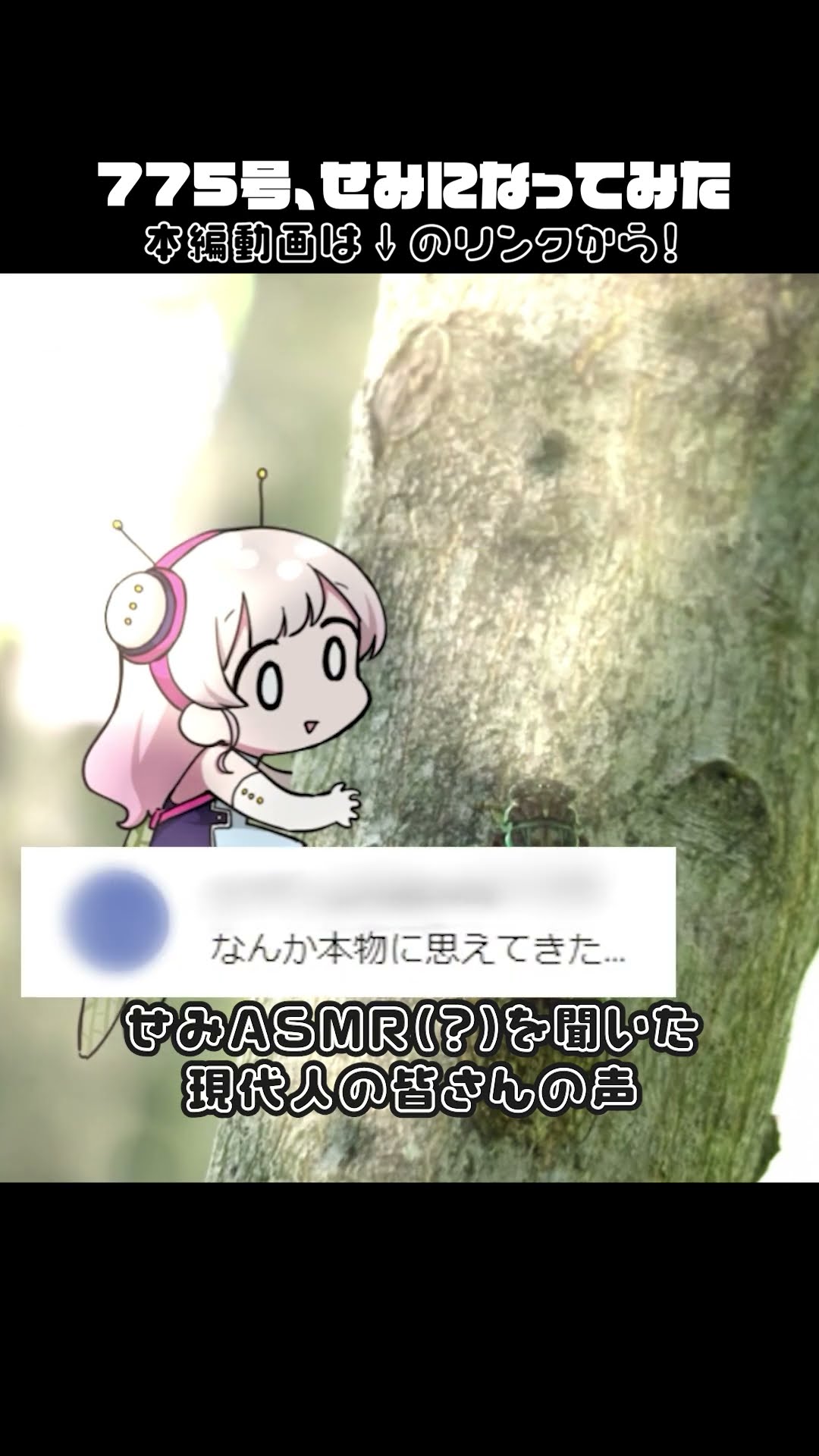 775号 - YouTube