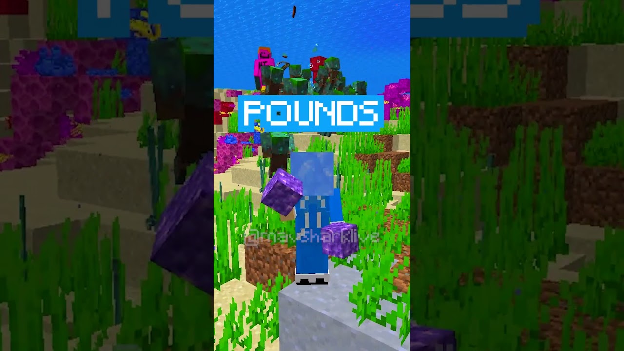 The ACTUAL Heaviest Block In Minecraft... #shorts