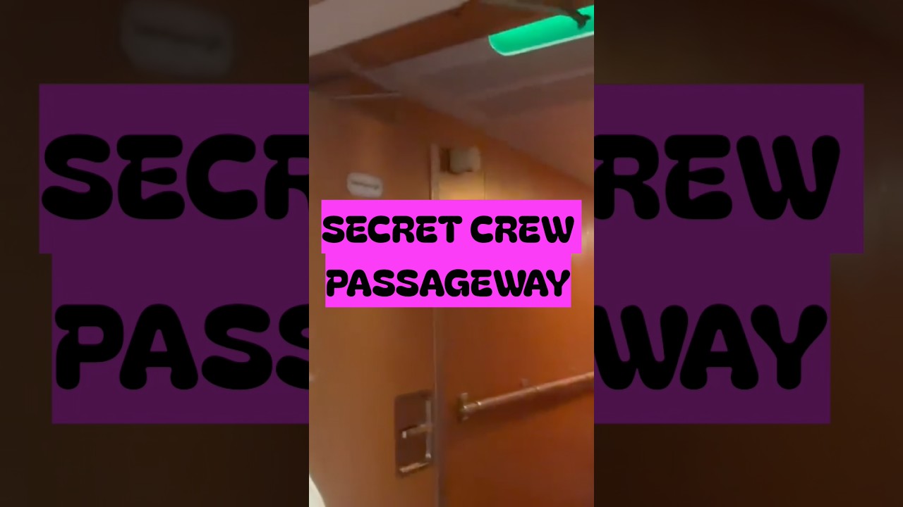We Found a SECRET Crew passageway on the Disney Magic! 🚢👀