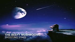 The Beefy Mushrooms 🎶 Shooting Stars