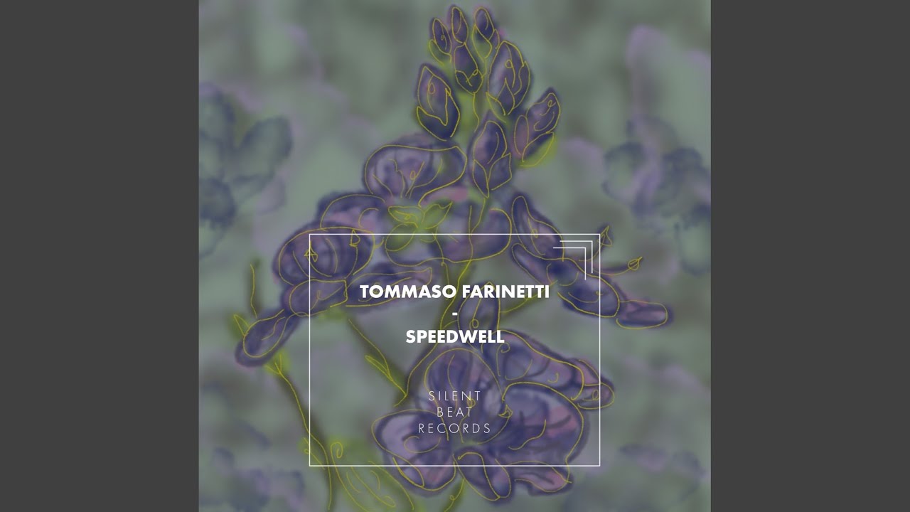 Watch speedwell on YouTube Watch speedwell on YouTube