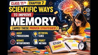 Scientific Ways to Improve Memory | Class 11 Psychology Chapter 7 | BA Psychology | CTET | DSSSB |