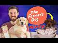 The Farmer's Dog Review: TRUTH About Kibble vs Fresh Food in 2026