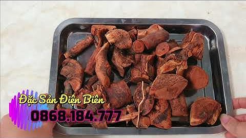 Mú Từn Điện Biên - Đặc Sản Tây Bắc