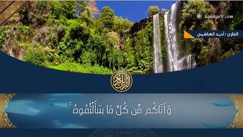 ما تيسّر من سورة إبراهيم | احمد الهاشمي