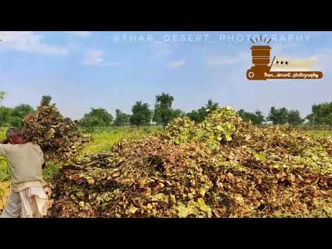 Rajasthani gane - YouTube