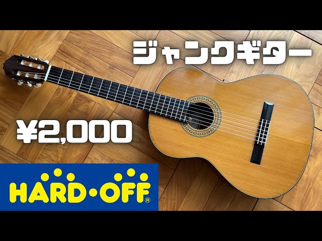argus✩ギター✩DJ-23✩ジャンク扱いで✩10月までの限定出品です Amazon | Rogue RD80 Dreadnought アコースティックギター