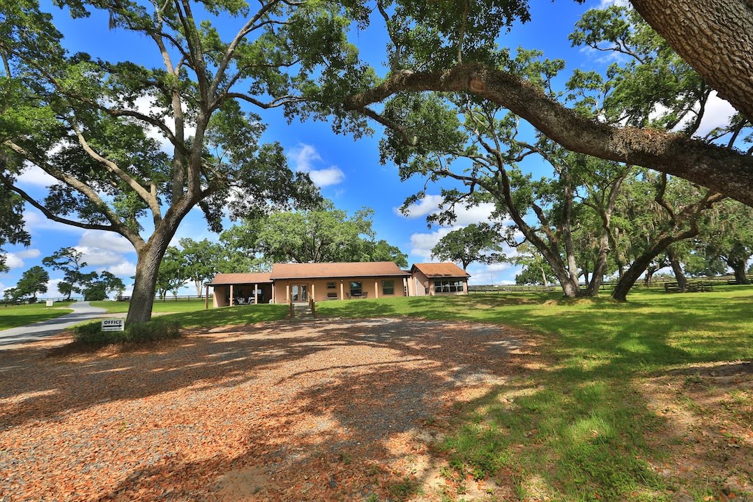 Ocala farm sales 15A YouTube