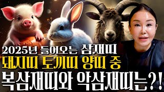 ✨2025년 삼재띠 운세 특집✨ 2025년 을사년에 대박나는 복삼재띠는 어떤 띠? 토끼띠 양띠 돼지띠  운세…