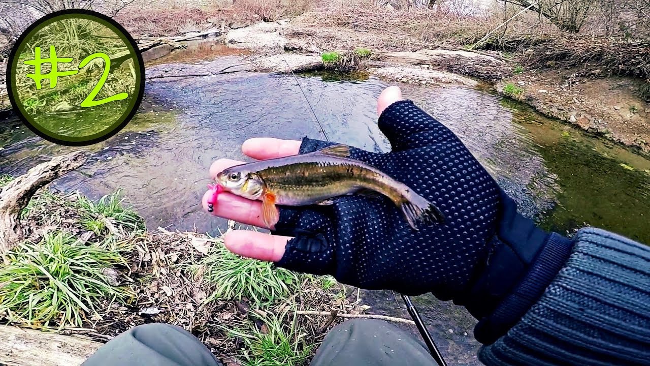 I Sopravvissuti del Torrente: "Vaironi con la gomma!?"