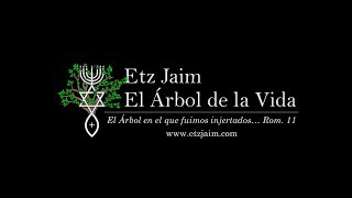 Etz Jaim Live Stream - El Becerro de Oro y La Ley