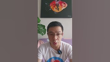 So sánh khay lọc inox và ống lắng