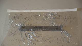 Lecture Demonstration: Magnetic Field Lines